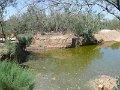 Baptism site (21)